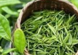 5060全讯白菜网注册-5060全讯白菜网大全-免费白菜大全论坛2024